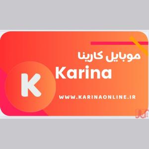 فروش عمده وخرده لوازم جانبی موبایل و لپ تاپ کارینا