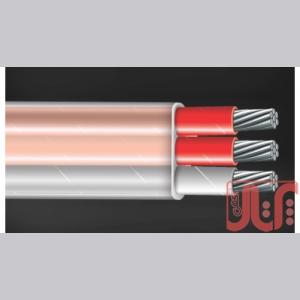 آریس نمایندگی محصولات تمپسنس RTD Cables