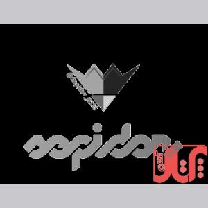 دوره آنلاین اسپیکینگ آیلتس